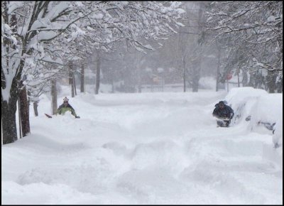 Street.jpg