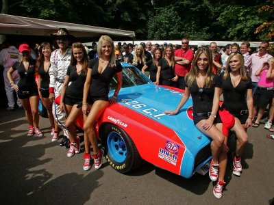 1972dodgechargernascarrya9.jpg