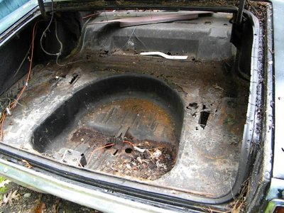 The Beginning (4).jpg The Beginning (4).jpg