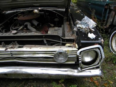 The Beginning (7).jpg The Beginning (7).jpg