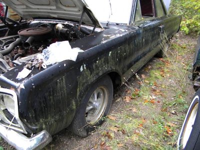 The Beginning (9).jpg The Beginning (9).jpg