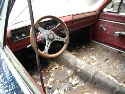 The Beginning (12).jpg The Beginning (12).jpg