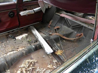 The Beginning (13).jpg The Beginning (13).jpg