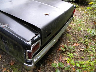 The Beginning (15).jpg The Beginning (15).jpg