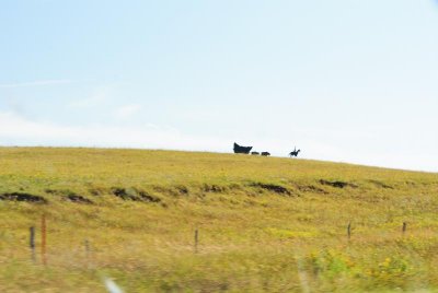 DSC_0014.jpg DSC_0014.jpg