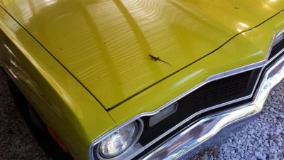 20150913_171340 (Large).jpg