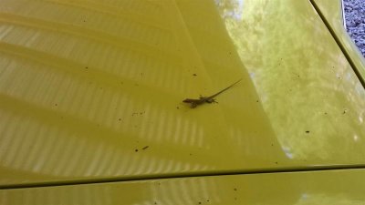 20150913_171640 (Large).jpg