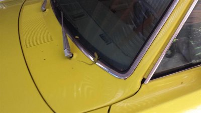 20150913_171700 (Large).jpg