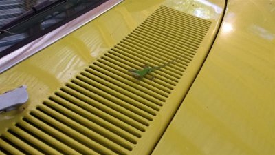 20150913_171758 (Large).jpg