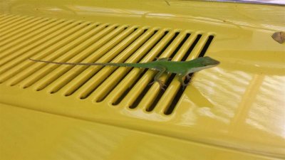 20150913_172002 (Large).jpg