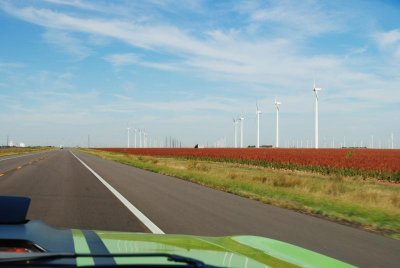 DSC_0009.jpg DSC_0009.jpg