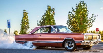 IMG_2217.jpg IMG_2217.jpg