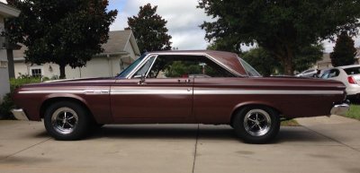 Rooty side.jpg Rooty side.jpg