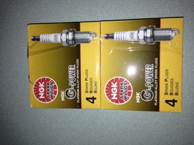 IMG_8275.jpg IMG_8275.jpg