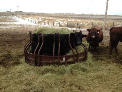 you-are-stuck-4.jpg