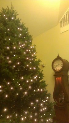 xmas.jpg
