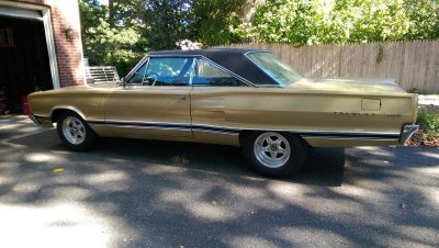 IMAG1010.jpg IMAG1010.jpg