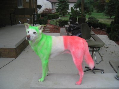 Italian Chuy.jpg