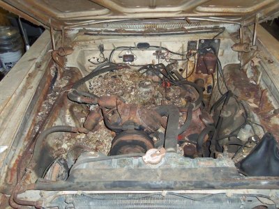 ratmotor.jpg ratmotor.jpg