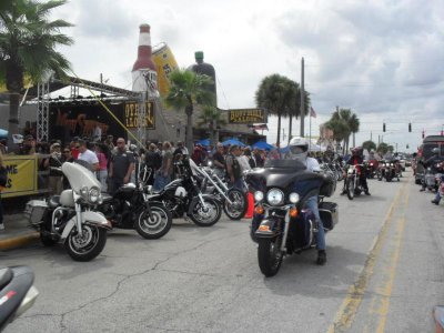 SAM_1830.jpg SAM_1830.jpg