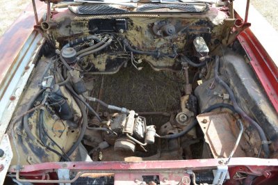 DSC_0012.jpg DSC_0012.jpg
