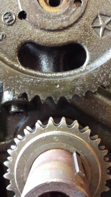 20151023_110212 (Large).jpg