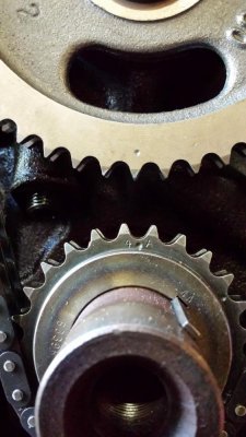 20151023_105344 (Large).jpg