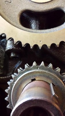 20151023_105854 (Large).jpg