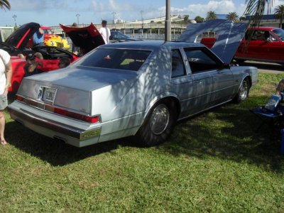 SAM_1845.jpg SAM_1845.jpg