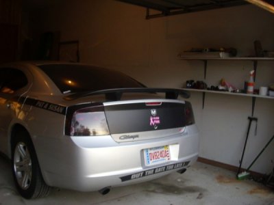 Sunday 011 (600 x 450).jpg