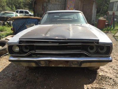 IMG956631.jpg IMG956631.jpg