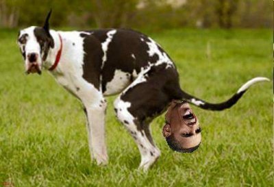 Dog ****.jpg