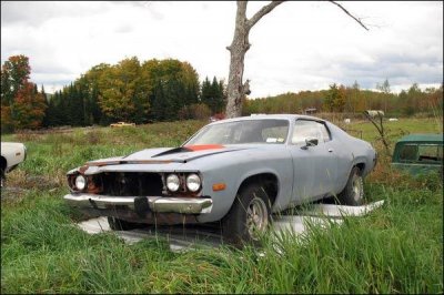 car in field.jpg car in field.jpg