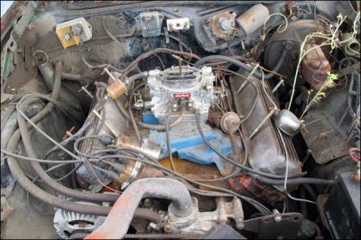 car in field 2.jpg car in field 2.jpg