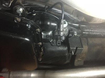 IMG_3311.jpg IMG_3311.jpg