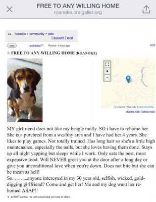 free-to-good-home.jpg