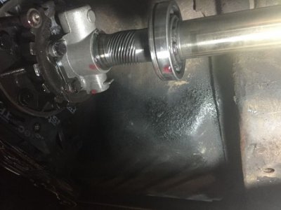 IMG_3321.jpg IMG_3321.jpg