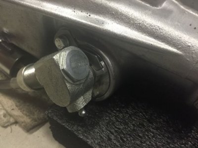 IMG_3330.jpg IMG_3330.jpg