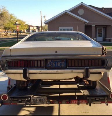 IMG_1456 (450x800).jpg