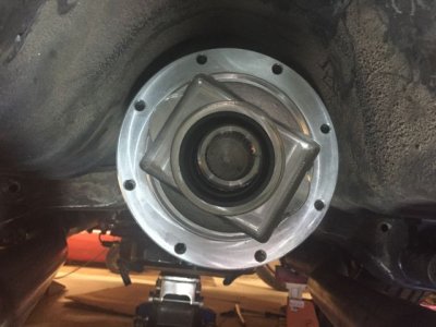 IMG_3335.jpg IMG_3335.jpg