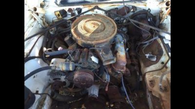 IMG_1474.jpg IMG_1474.jpg