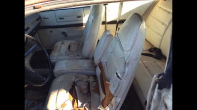 IMG_1477.jpg IMG_1477.jpg