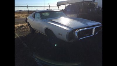 IMG_1482.jpg IMG_1482.jpg