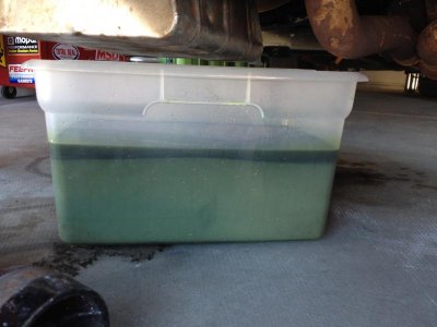 IMG_0113.jpg IMG_0113.jpg