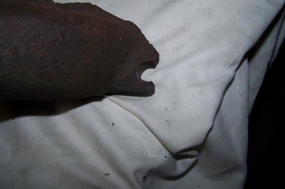 100_2947.jpg