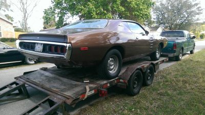 IMAG0545_BURST002.jpg IMAG0545_BURST002.jpg