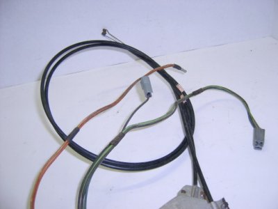 S3600521.JPG