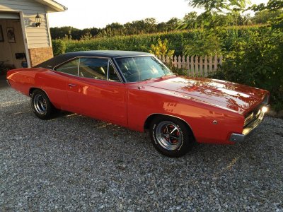 IMG_0495.jpg IMG_0495.jpg