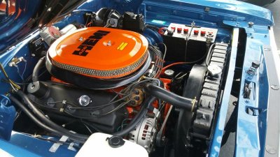 20151101_091616_resized.jpg 20151101_091616_resized.jpg