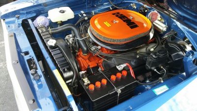 20151101_091631_resized.jpg 20151101_091631_resized.jpg